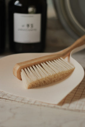 Escova de Bambu e Pá para Limpeza